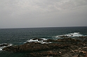 Kanary_2010 030